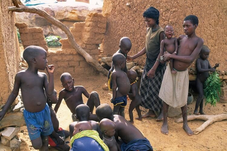 İlkel kabilenin bildiklerini bilim dünyası yeni keşfediyor - Sayfa 16