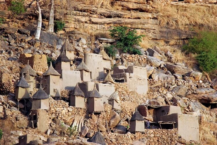 İlkel kabilenin bildiklerini bilim dünyası yeni keşfediyor - Sayfa 20