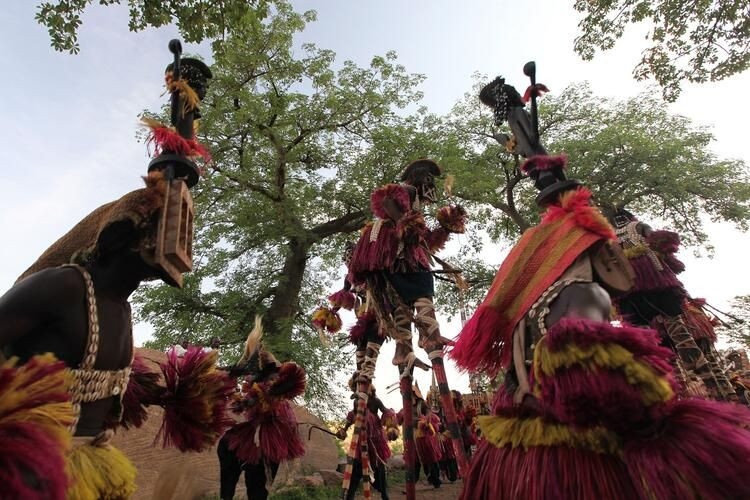 İlkel kabilenin bildiklerini bilim dünyası yeni keşfediyor - Sayfa 9