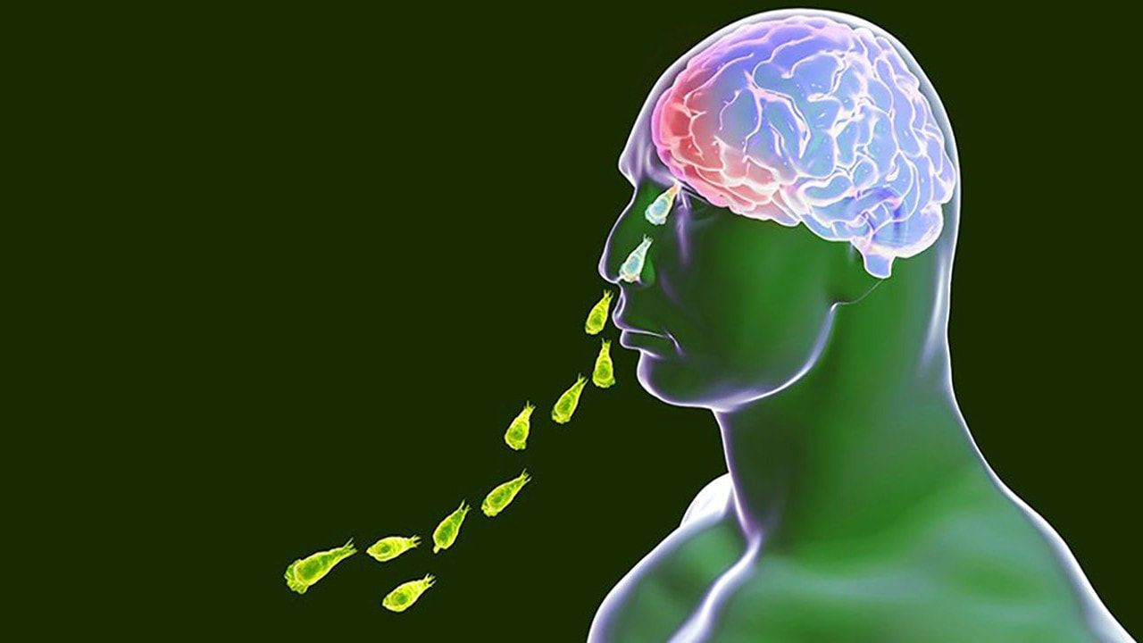 Beyin yiyen amip ülkemizde de var - Sayfa 5