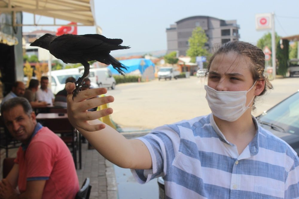 En yakın dostu karga! 'İsmini Bahattin koydum' - Sayfa 6
