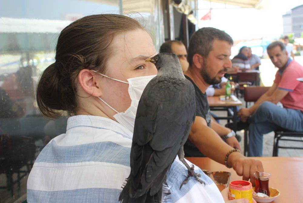 En yakın dostu karga! 'İsmini Bahattin koydum' - Sayfa 9