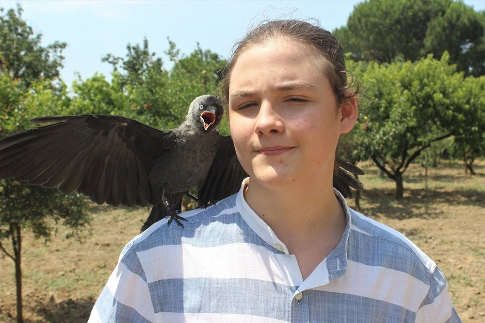 En yakın dostu karga! 'İsmini Bahattin koydum' - Sayfa 11