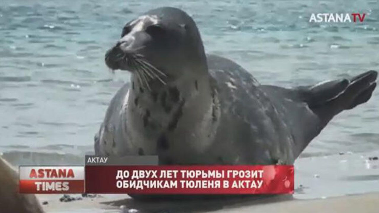 Sahilde buldular! Kimse ne olduğunu anlayamadı - Sayfa 15