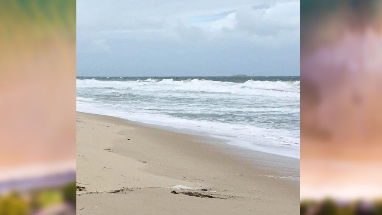 Sahilde buldular! Kimse ne olduğunu anlayamadı - Sayfa 7