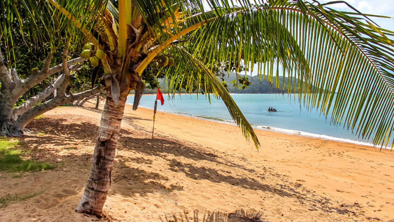 Sahilde buldular! Kimse ne olduğunu anlayamadı - Sayfa 9