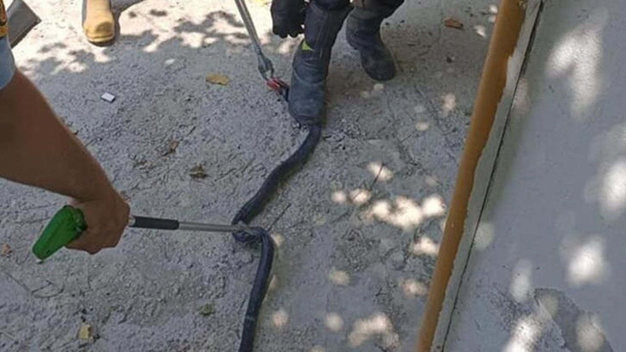 Denizli'de yılan ve akrep paniği! Onlarca kişi hastaneye koştu - Sayfa 6