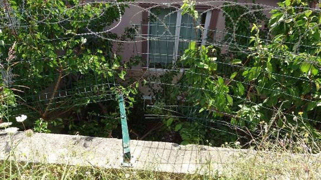 Uyurken evinin bahçesine otomobil uçtu! - Sayfa 6