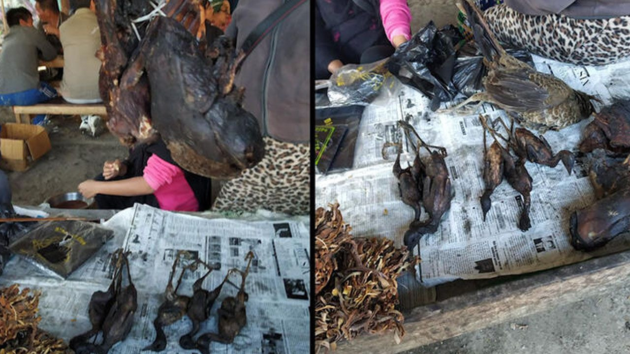 Kesik eller, koronavirüs, ABD'de kriz... - Sayfa 23