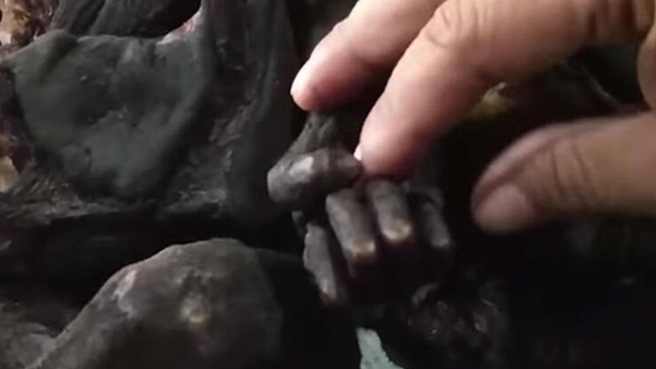 Kesik eller, koronavirüs, ABD'de kriz... - Sayfa 24