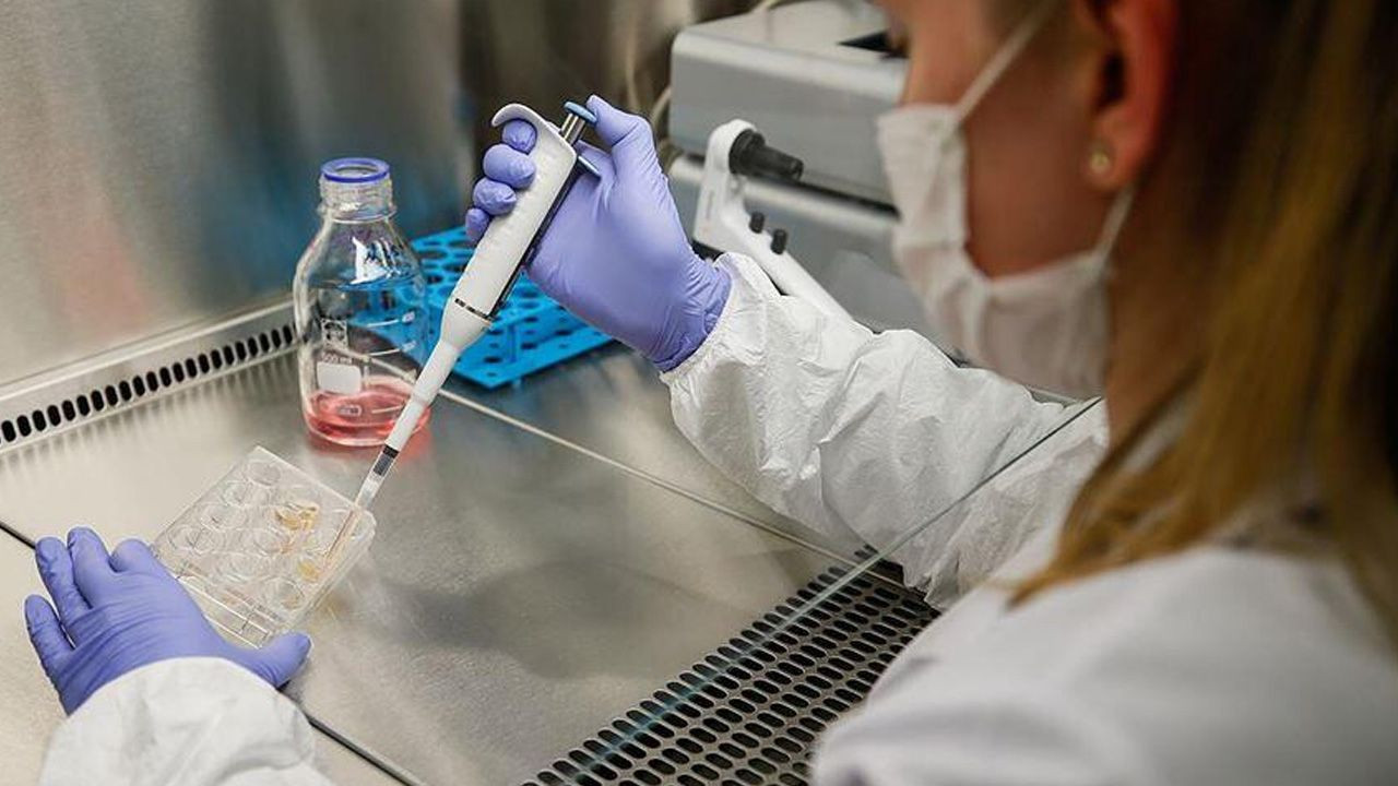 Prof. Özpolat: Koronavirüs aşısında son aşamaya gelindi - Sayfa 9