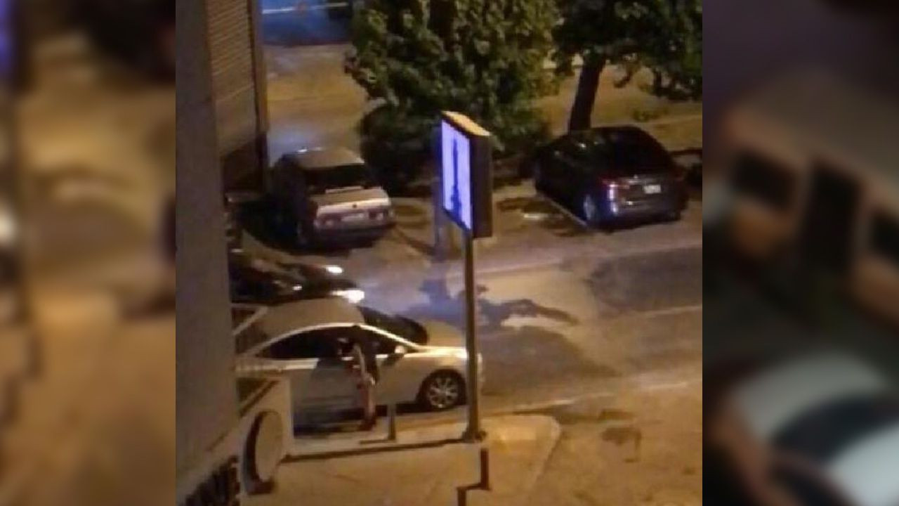 Mahalleye gelen bir ay sonra geri gidiyor! - Sayfa 7