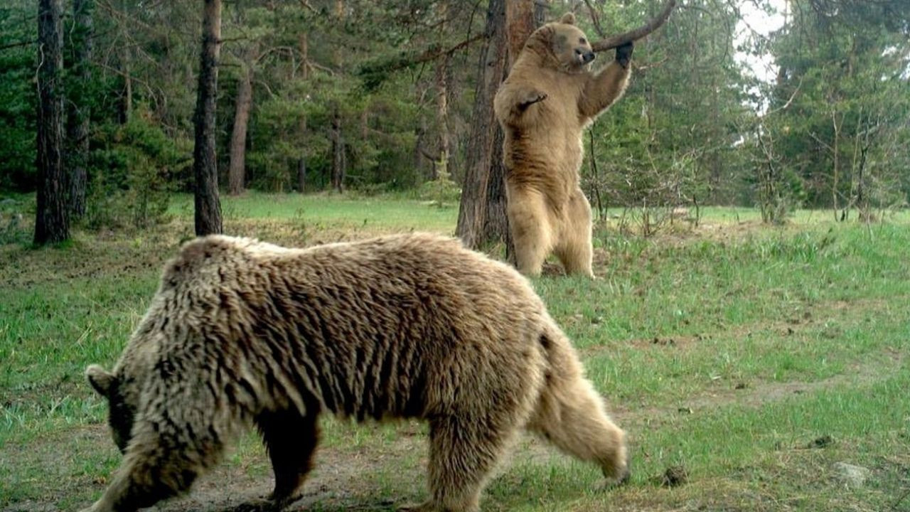 Yıllar sonra o ilde görüntülendi! - Sayfa 7