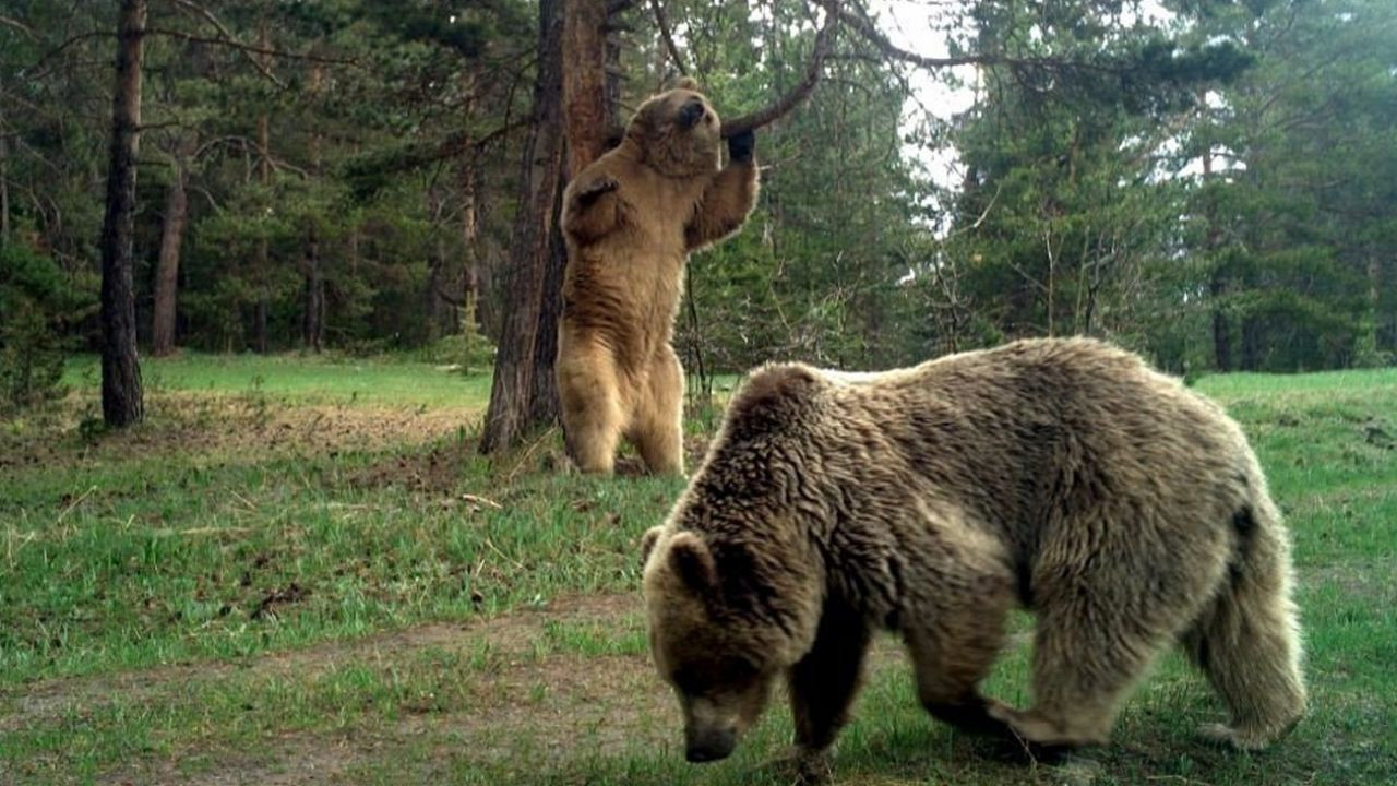Yıllar sonra o ilde görüntülendi! - Sayfa 8