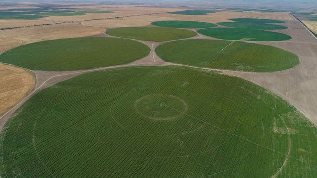 Uzaylılar değil Konyalılar yaptı! - Sayfa 12