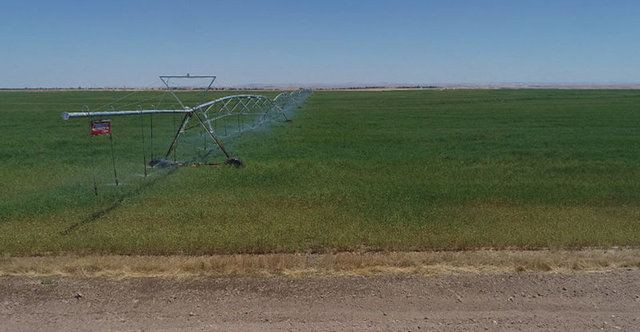 Uzaylılar değil Konyalılar yaptı! - Sayfa 14