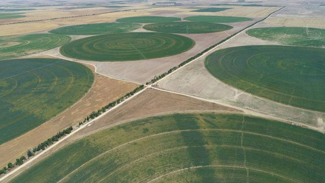 Uzaylılar değil Konyalılar yaptı! - Sayfa 17