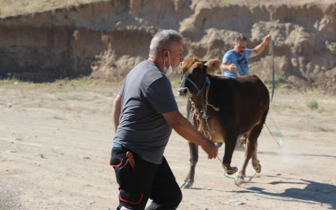 Kayseri'de dana kaçtı, onlar kovaladı - Sayfa 12