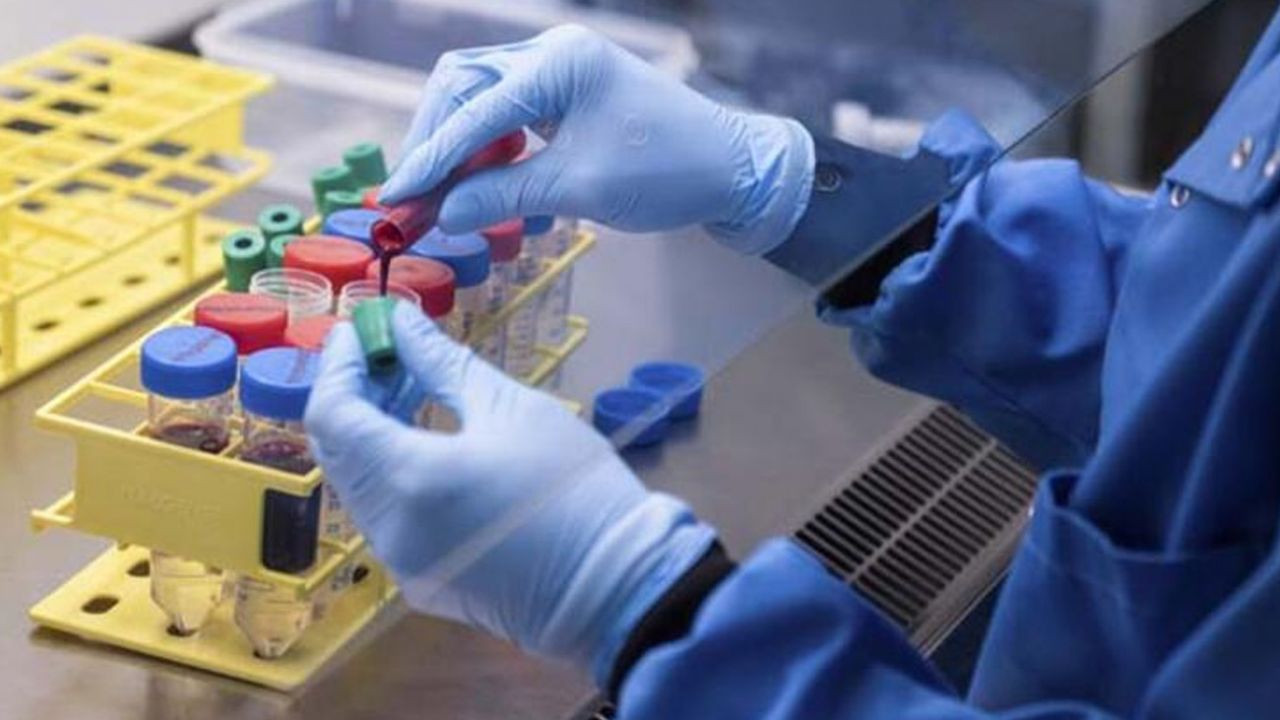 İngiltere'de kanalizasyonlarda Kovid-19 testine başlandı - Sayfa 5