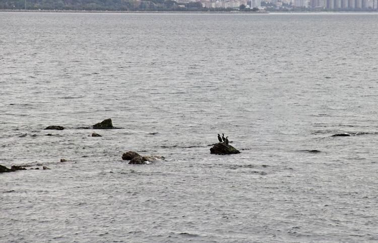 İstanbul'da haritalar incelendiğinde ortaya çıktı - Sayfa 8
