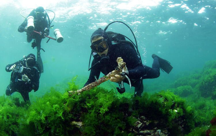 İstanbul'da haritalar incelendiğinde ortaya çıktı - Sayfa 12