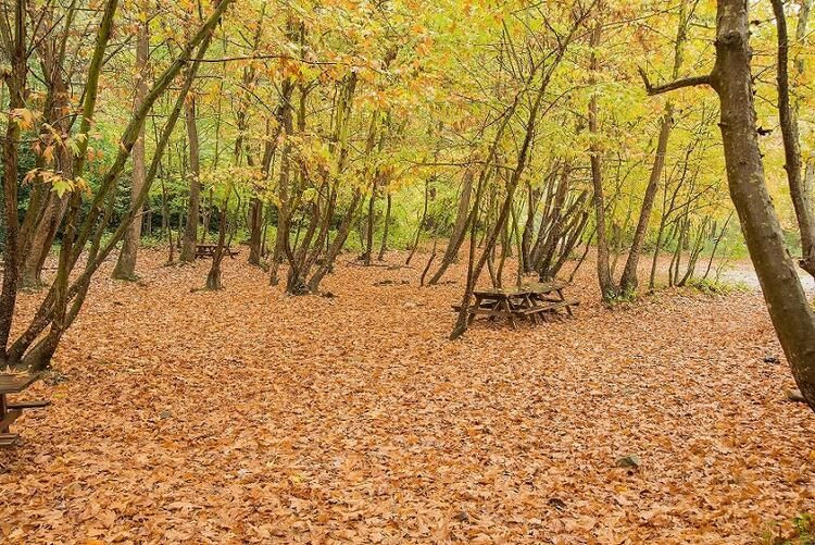 Türkiye'nin en mutlu şehri İngiliz yazarı şaşırttı - Sayfa 17