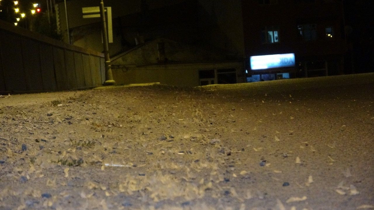 Kelebeklerin ölüm uçuşu - Sayfa 10