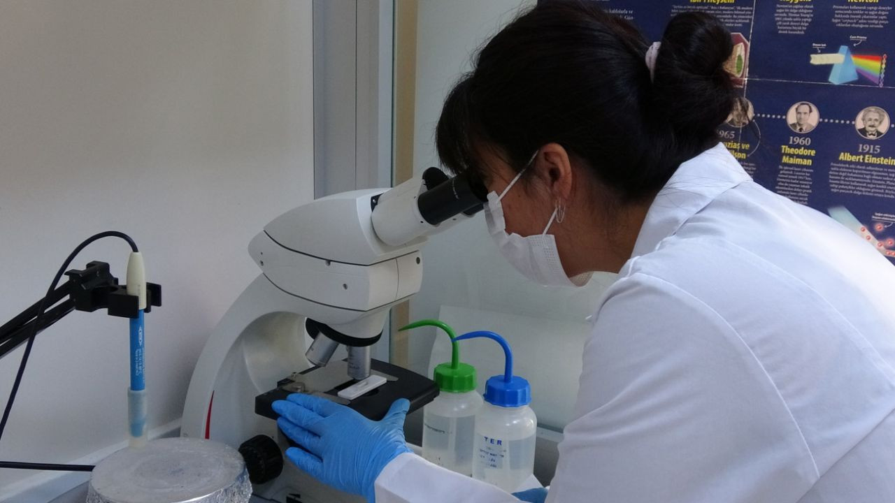 Çift antikorlu koronavirüs tanı kiti ÇOMÜ’de geliştirildi! - Sayfa 8