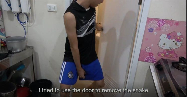 Tuvalete giren gencin cinsel organını yılan soktu! - Sayfa 7