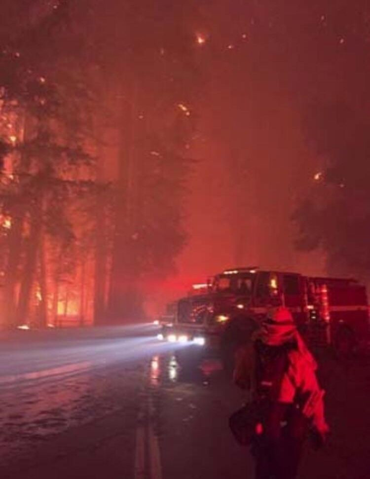 New Mexico’da yüz binlerce göçmen kuş ölü bulundu! - Sayfa 12