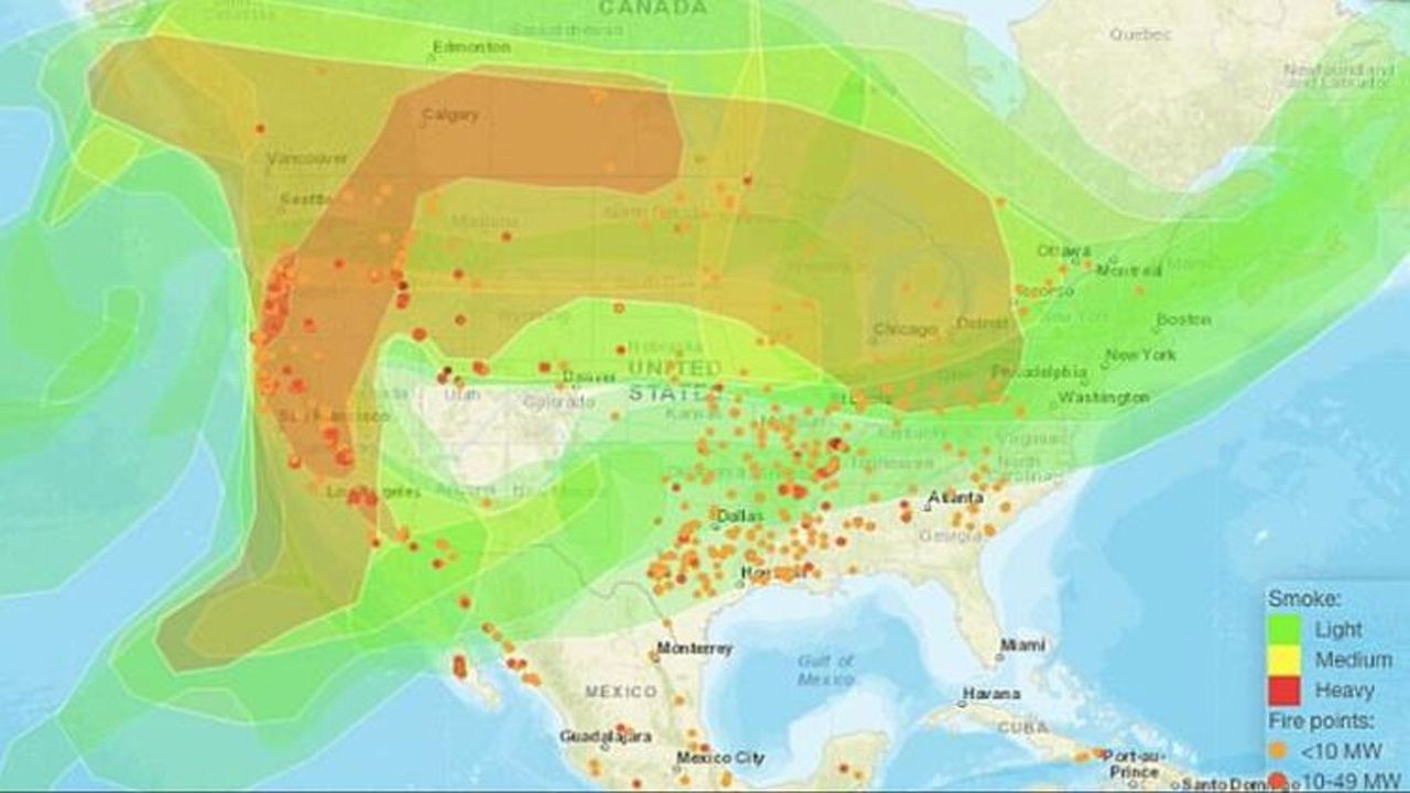 New Mexico’da yüz binlerce göçmen kuş ölü bulundu! - Sayfa 7
