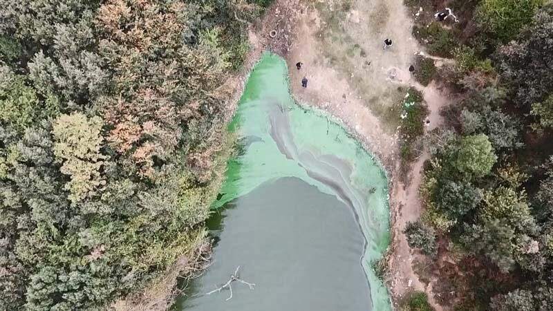 Eyüpsultan'da göle kimyasal atık boşalttılar! - Sayfa 5
