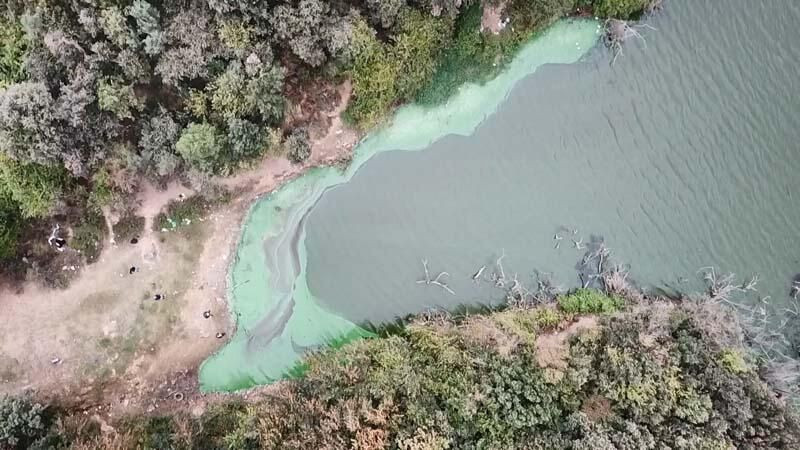 Eyüpsultan'da göle kimyasal atık boşalttılar! - Sayfa 6