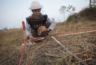 Sıçan Magawa'ya altın madalya - Sayfa 9