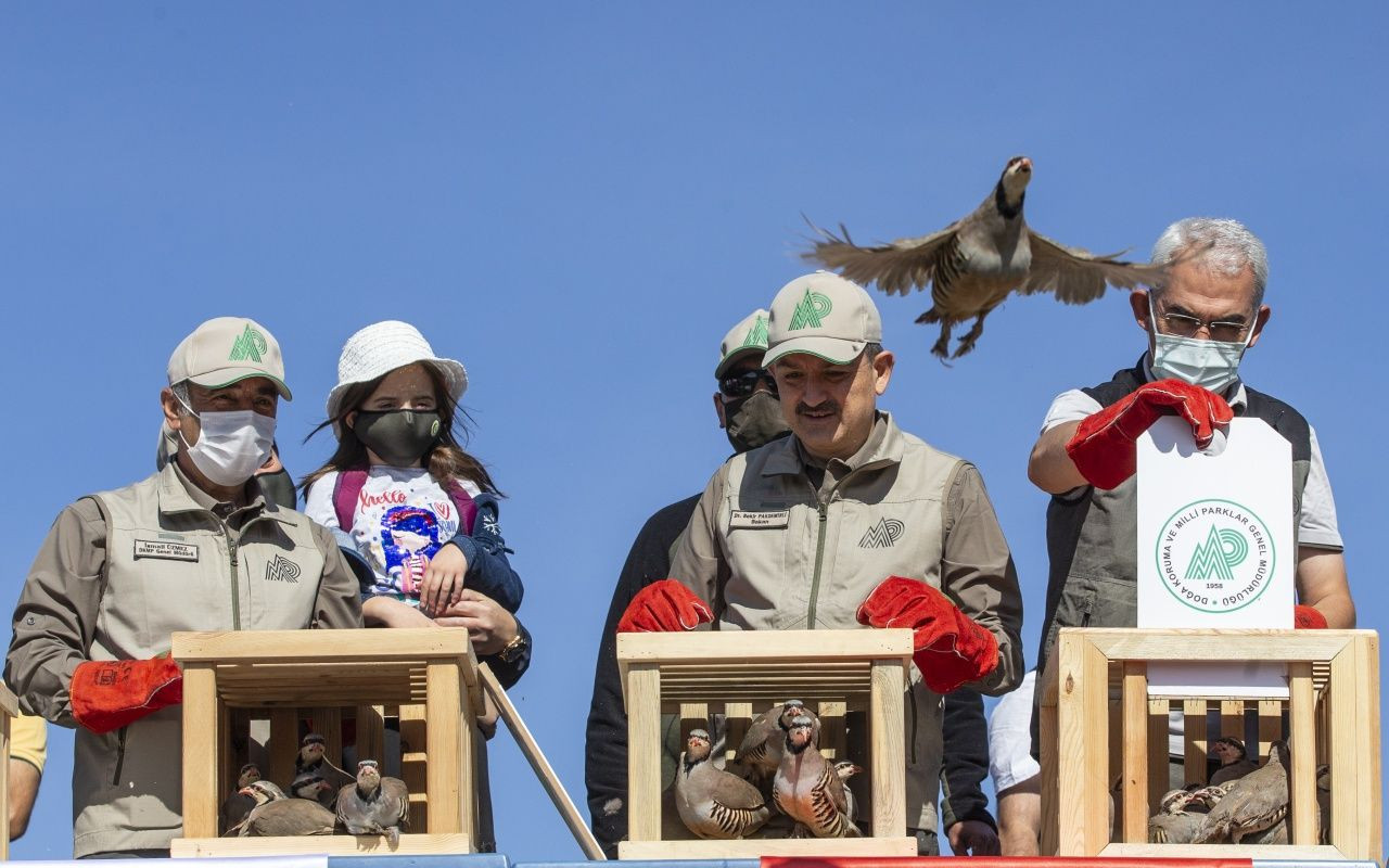 Bakan Bekir Pakdemirli yaban hayvanlarını doğaya bıraktı - Sayfa 26