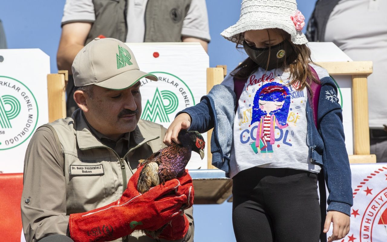 Bakan Bekir Pakdemirli yaban hayvanlarını doğaya bıraktı - Sayfa 22