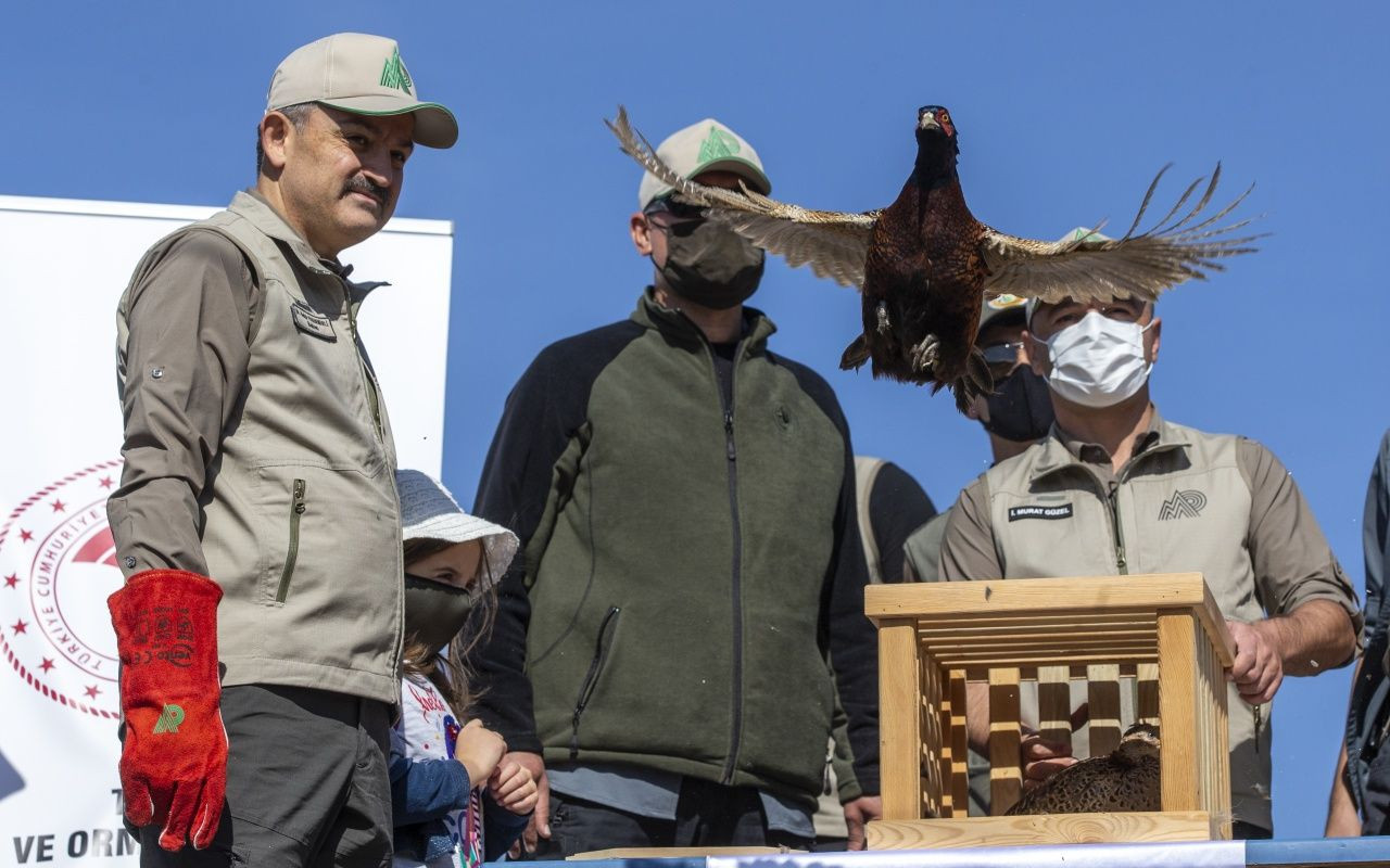 Bakan Bekir Pakdemirli yaban hayvanlarını doğaya bıraktı - Sayfa 20
