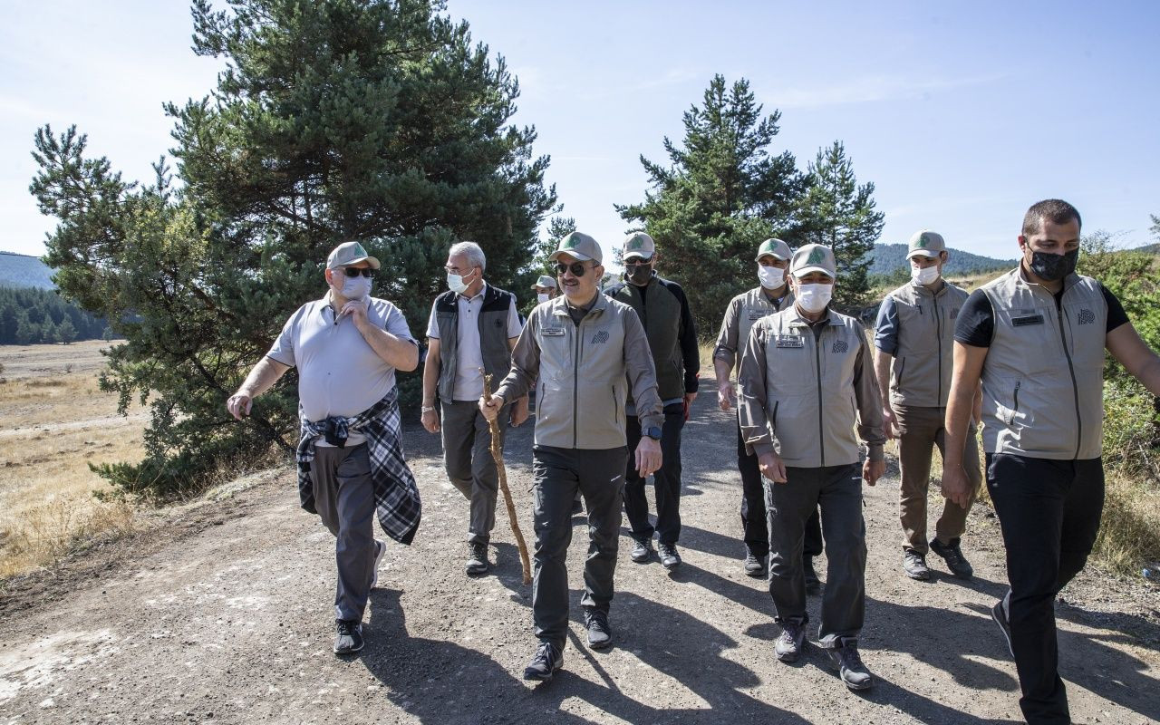 Bakan Bekir Pakdemirli yaban hayvanlarını doğaya bıraktı - Sayfa 14