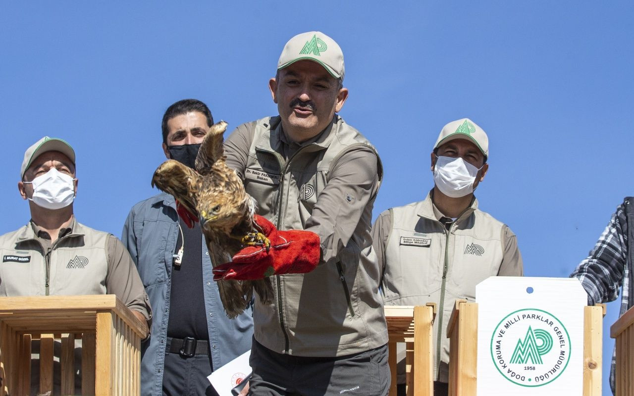 Bakan Bekir Pakdemirli yaban hayvanlarını doğaya bıraktı - Sayfa 7
