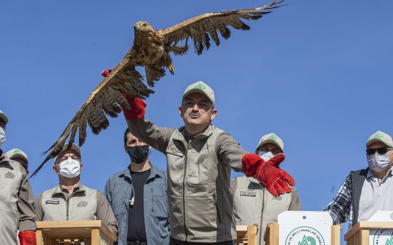 Bakan Bekir Pakdemirli yaban hayvanlarını doğaya bıraktı - Sayfa 5