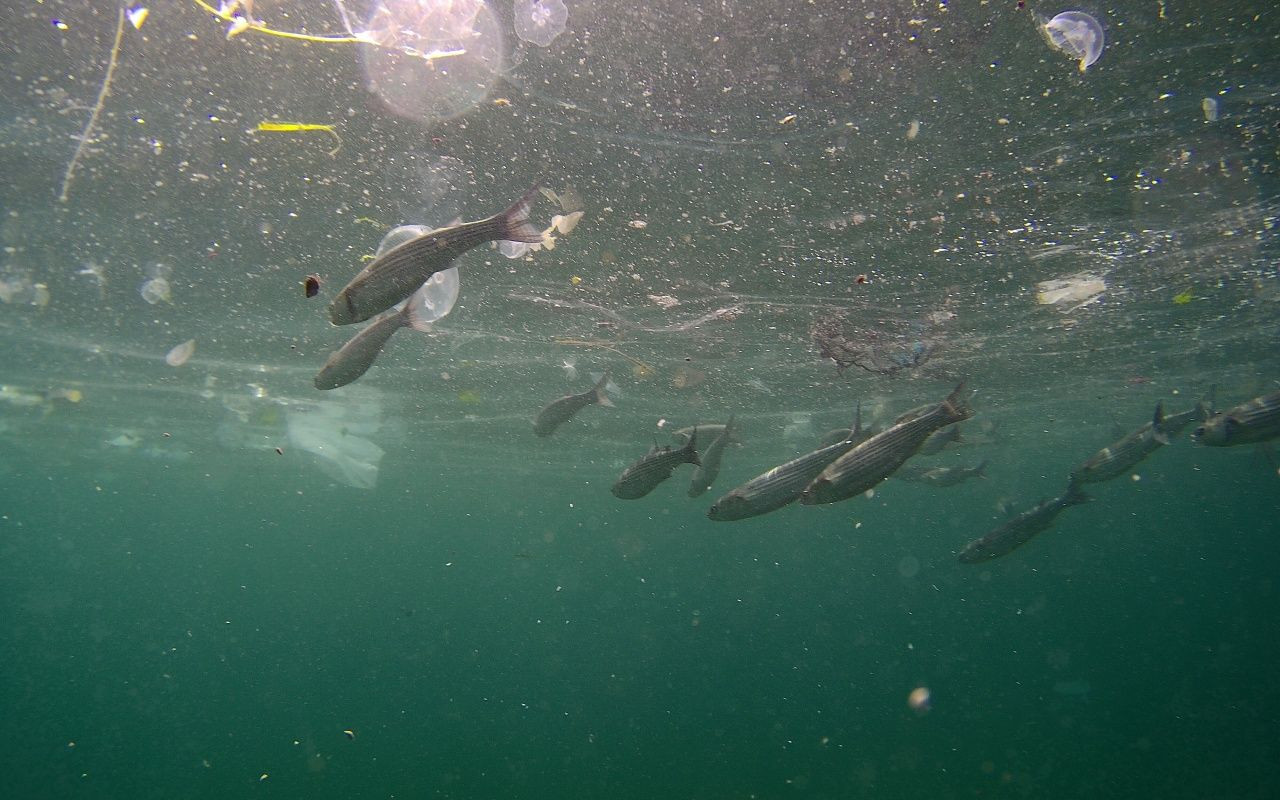 İstanbulluya yakışmayan görüntü - Sayfa 9