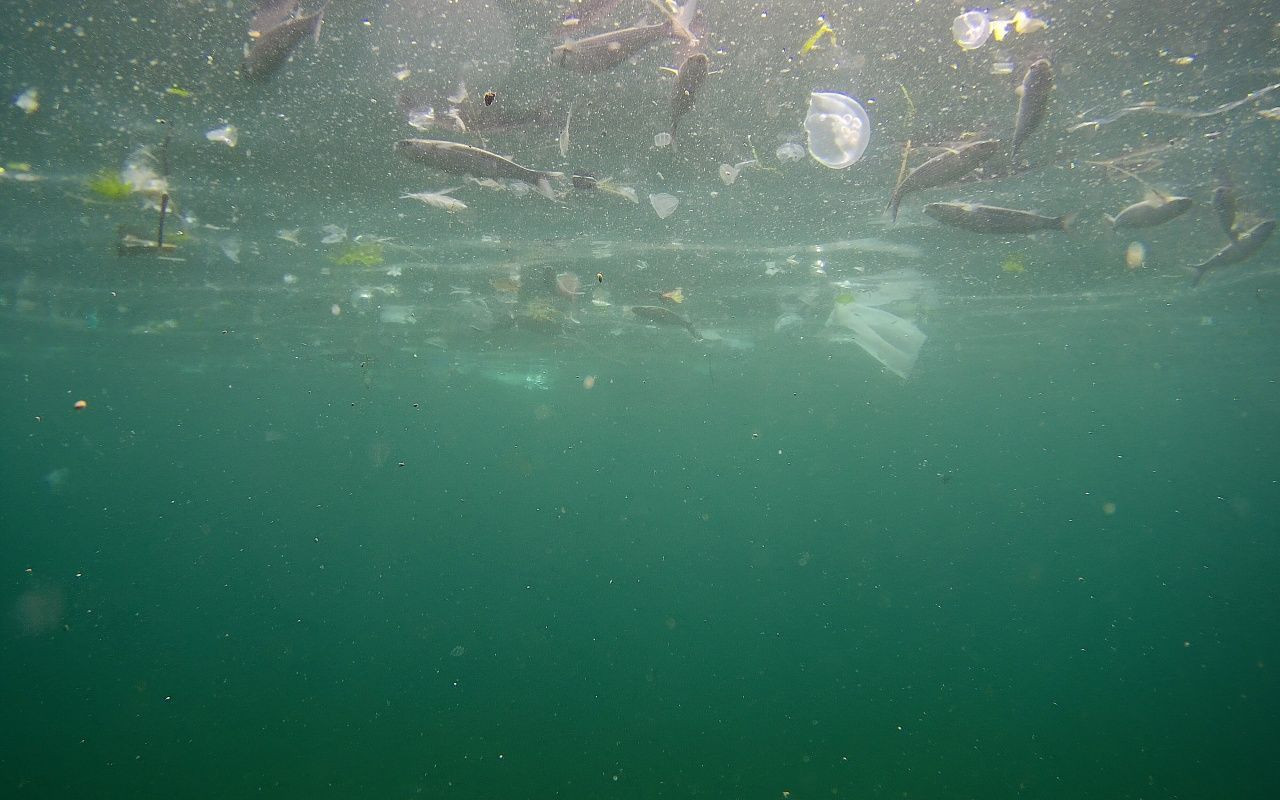 İstanbulluya yakışmayan görüntü - Sayfa 7