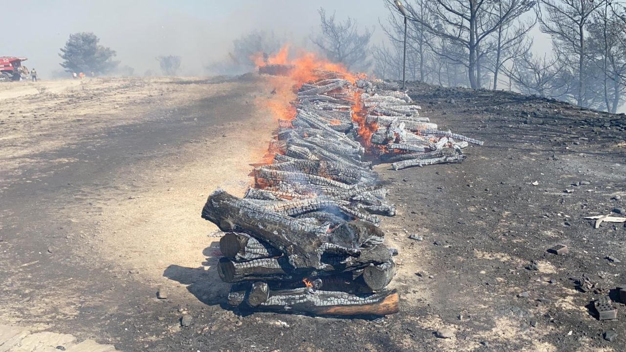 Kente sıçrayan yangında sabotaj şüphesi - Sayfa 13