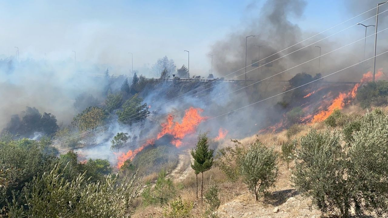 Kente sıçrayan yangında sabotaj şüphesi - Sayfa 24