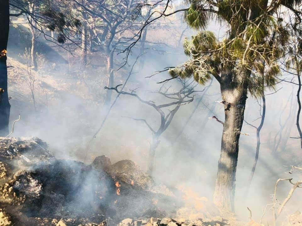 Kente sıçrayan yangında sabotaj şüphesi - Sayfa 19