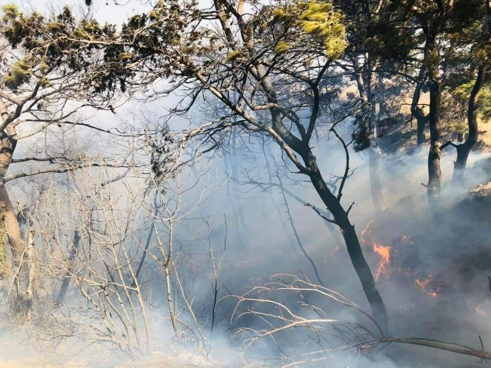 Kente sıçrayan yangında sabotaj şüphesi - Sayfa 20