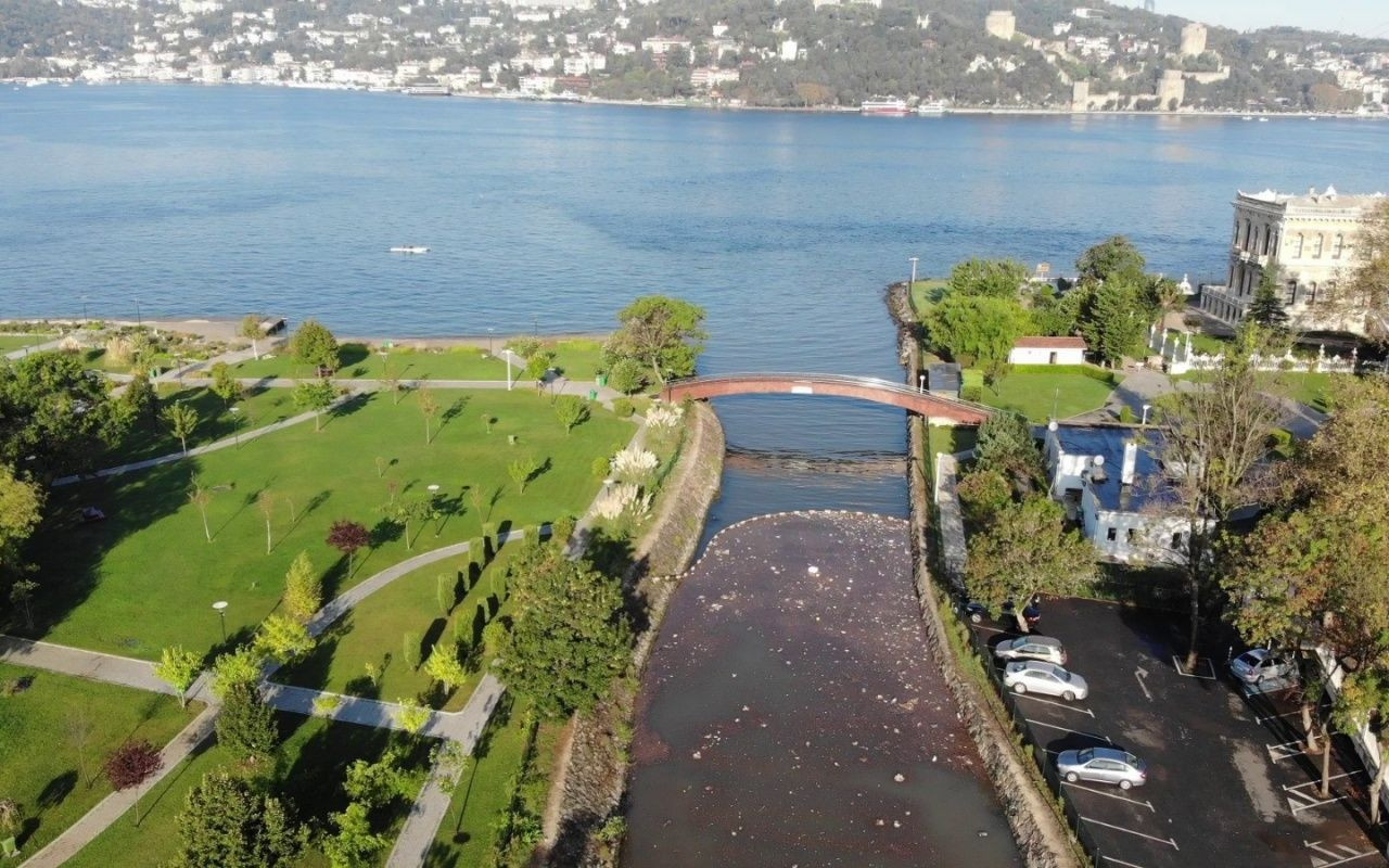 İstanbul'da yağmur sonrası çöp adası - Sayfa 5