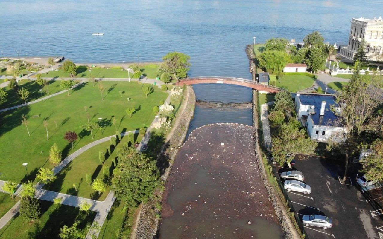 İstanbul'da yağmur sonrası çöp adası - Sayfa 7