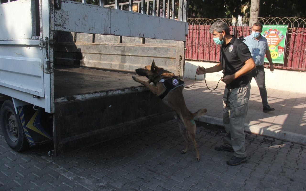 Polisi gören kız kaçmaya çalıştı - Sayfa 9