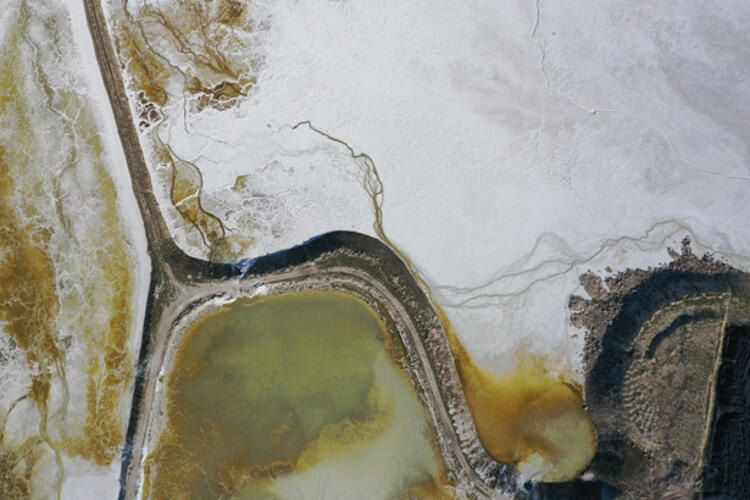 Eskişehir'de bulundu! Piyasa değeri 20 bin dolar! - Sayfa 10